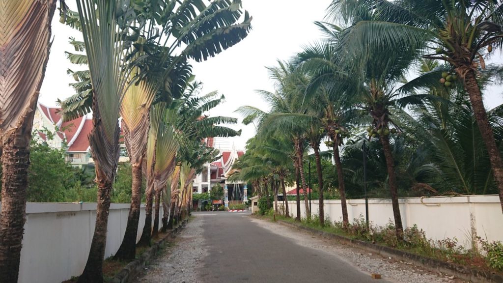 ao-nang-palmy