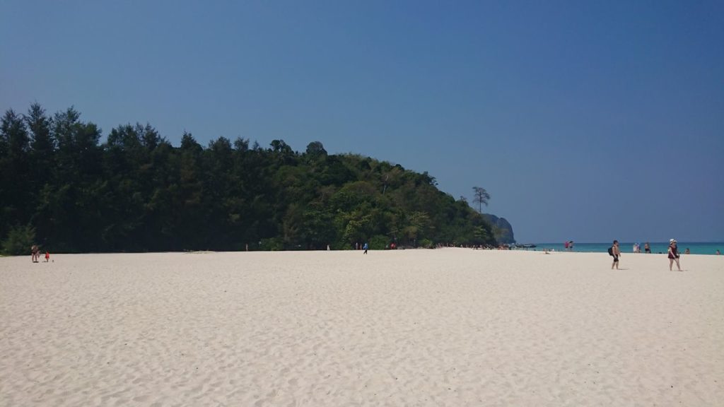bamboo-beach