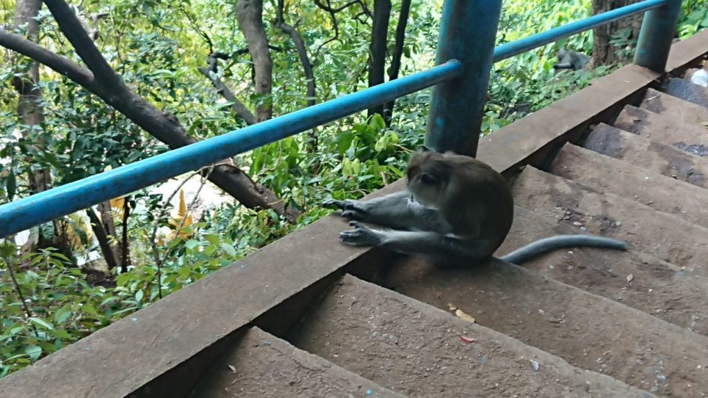 krabi-temple-malpa