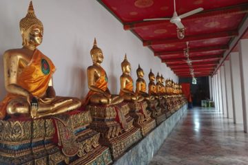 wat-pho-temple-buddha