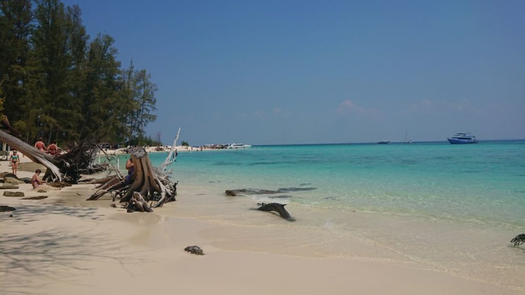 wybrzeze-bamboo-beach