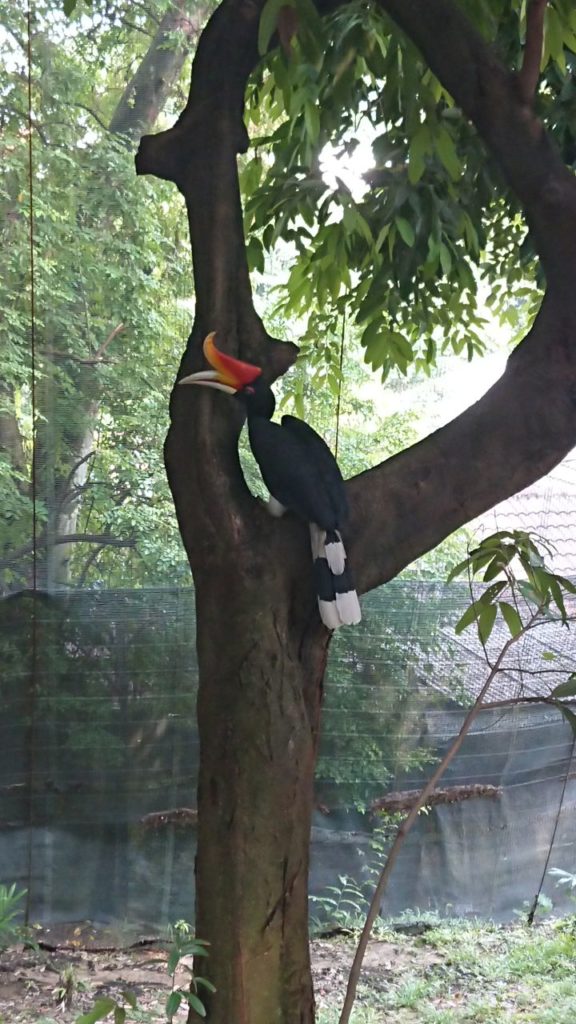 bird-park-1