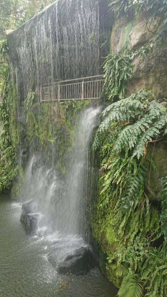 bird-park-3