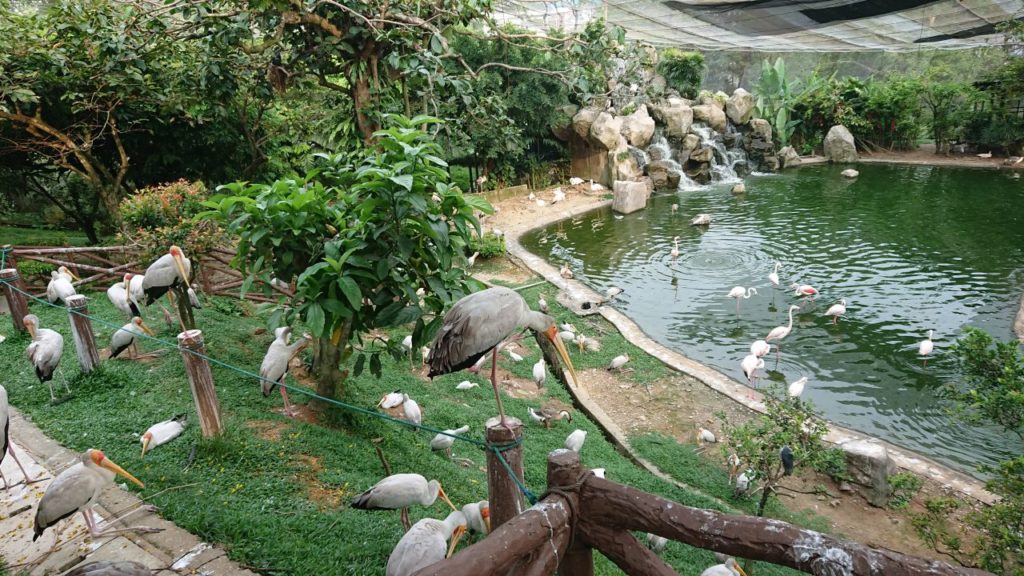 bird-park-4