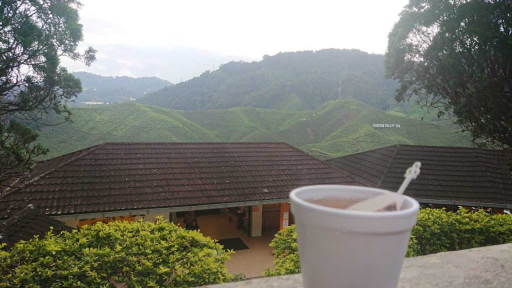 cameron-highlands-herbata-oniontrip-5