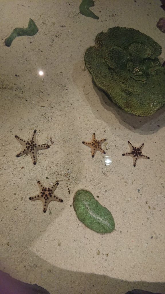 klcc-aquaria-1