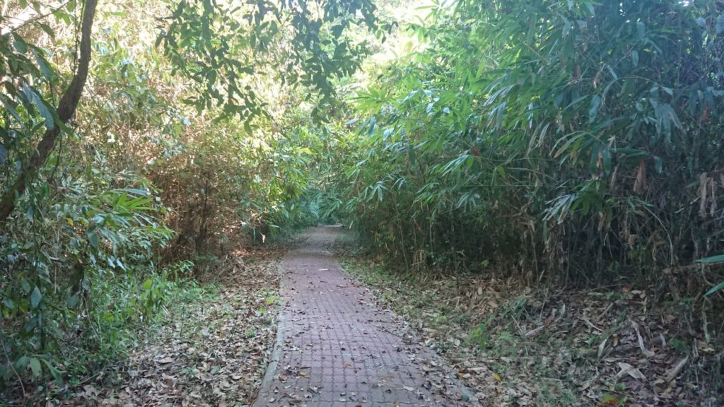 thung-khai-botanic-garden