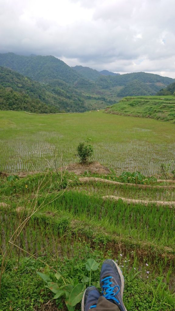 banaue-na-tarasach