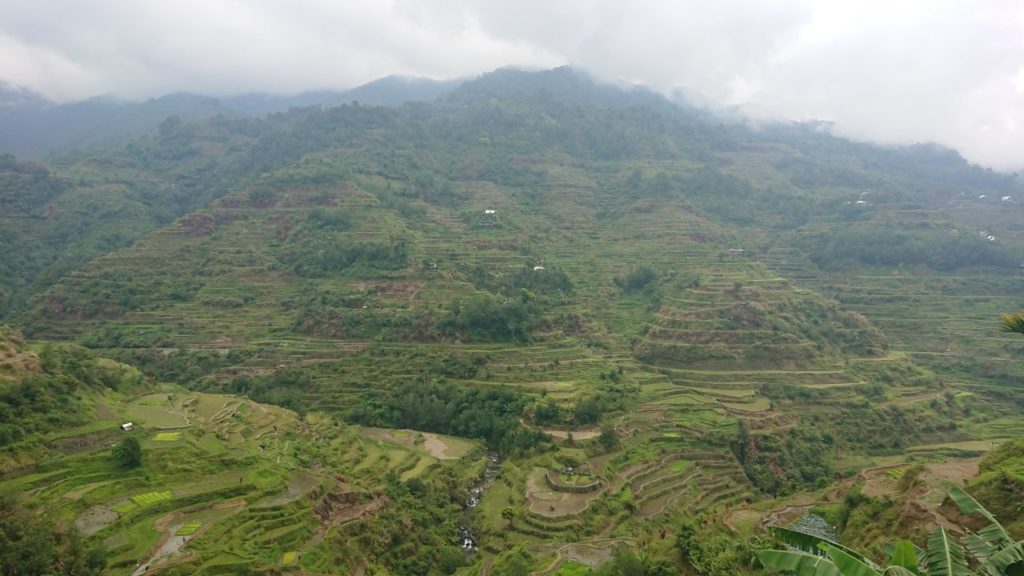 banaue-tarasy-ryzowe