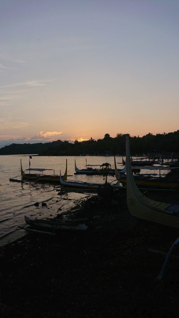 lodki-taal-pionowo