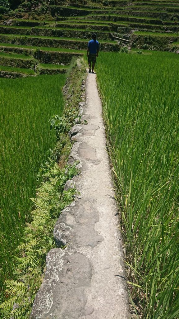 ostoznie-tarasy