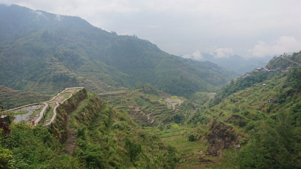 tarasy-ryzowe-banaue