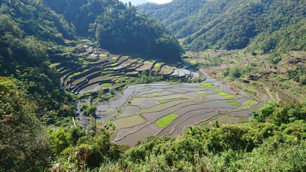 w-drodze-do-batad