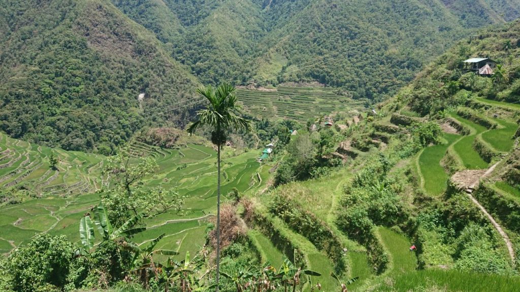 widoki-batad