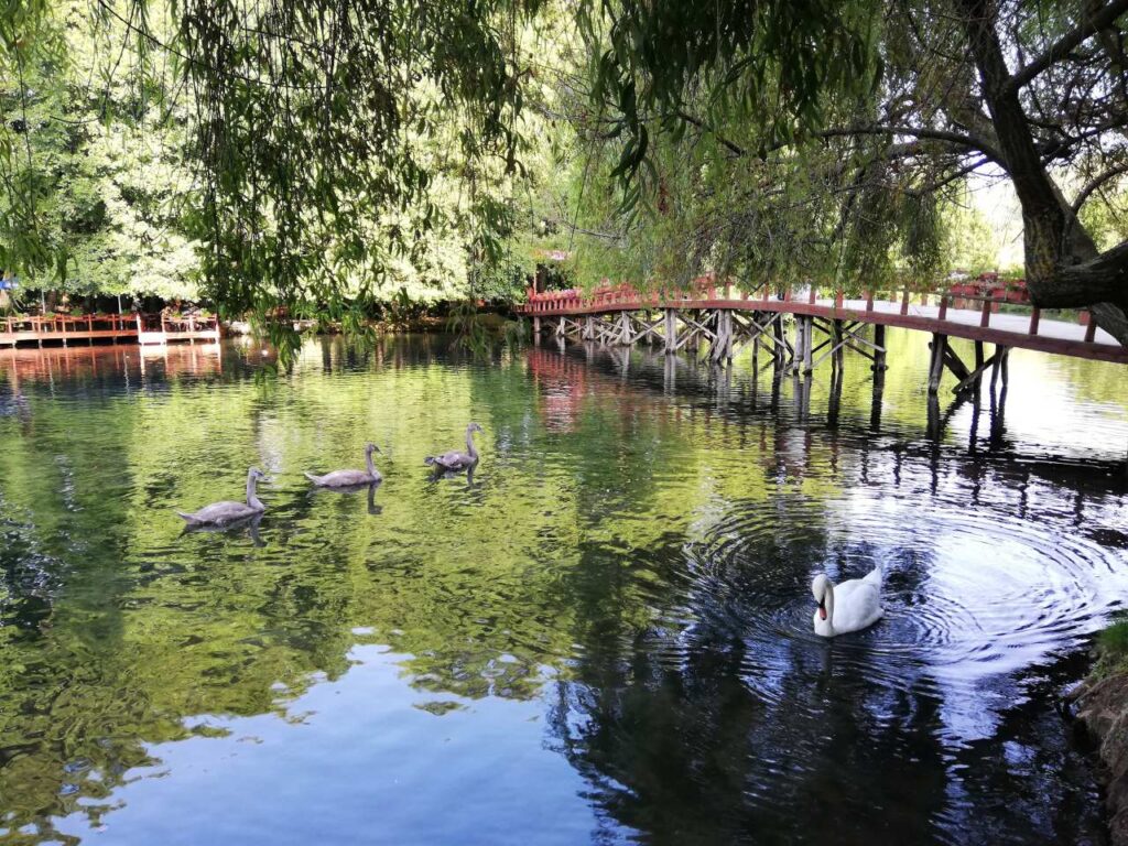 park narodowy drilon national park