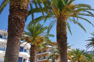 saranda promenada tlo